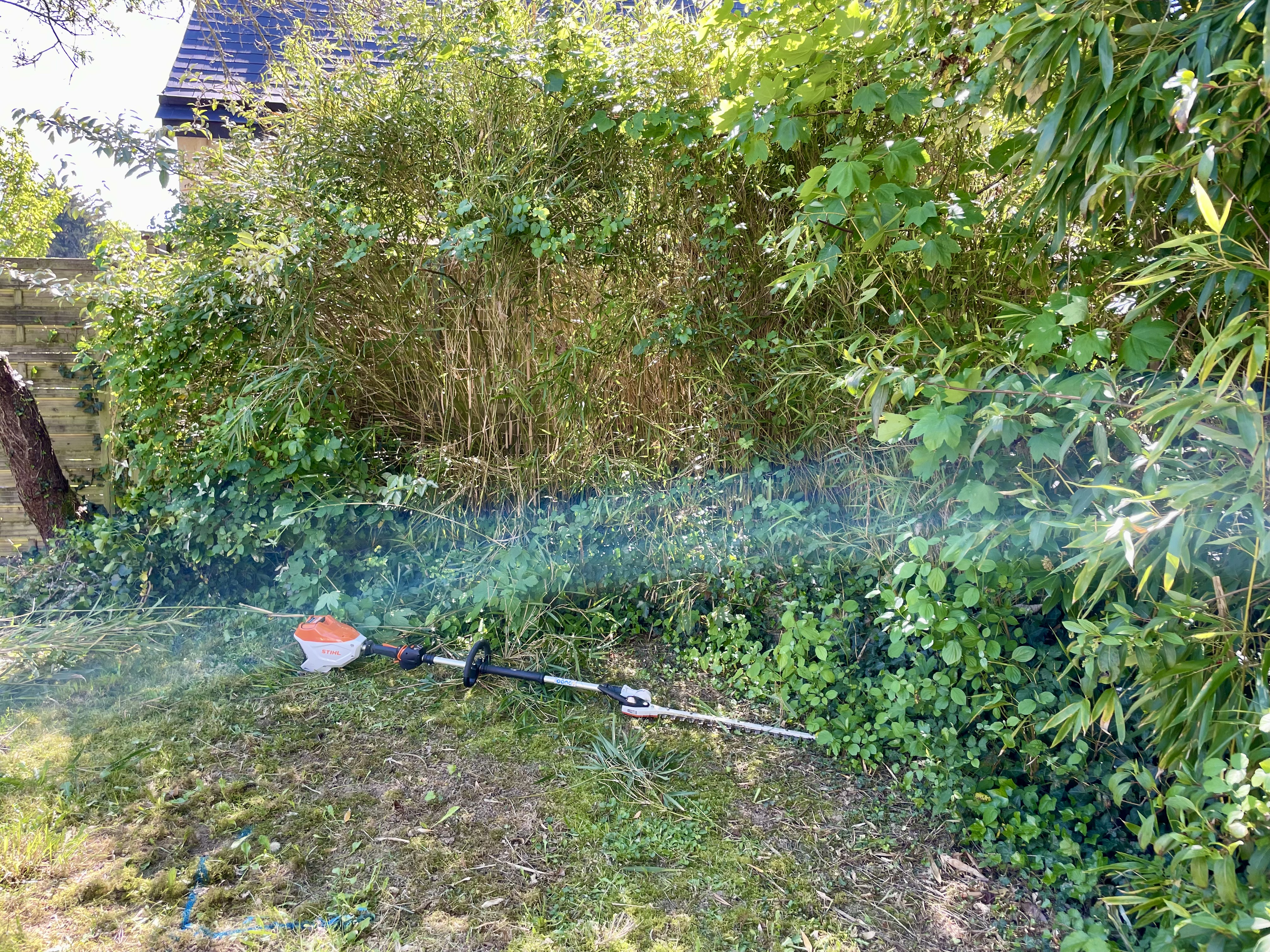 before-image