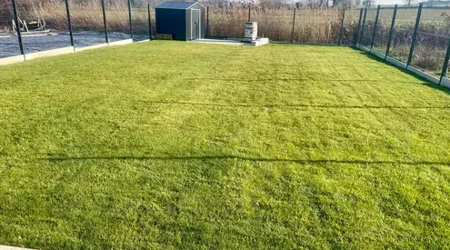 entretien de jardin à Le Rheu - image 2