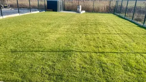 jardinier à Saint-Thurial - image 2