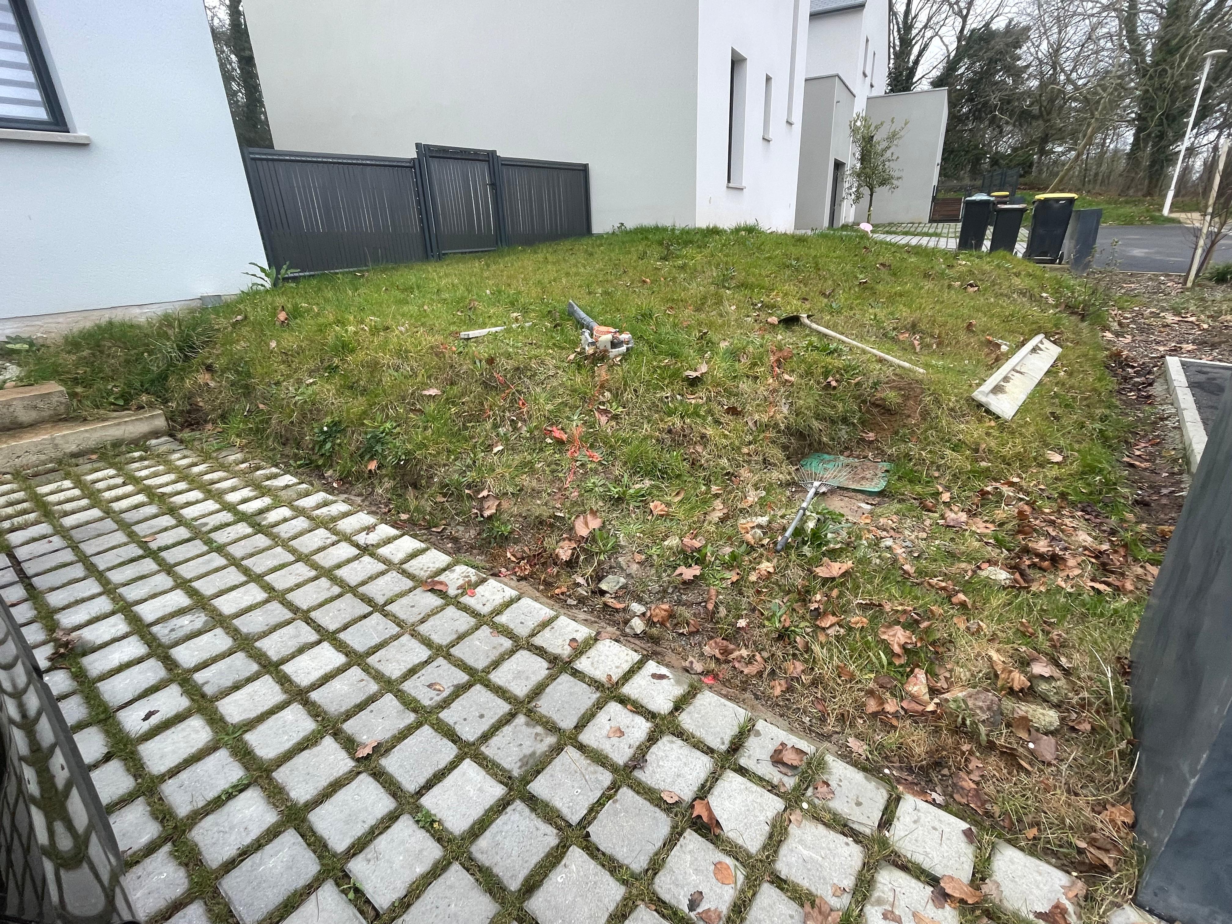 before-image