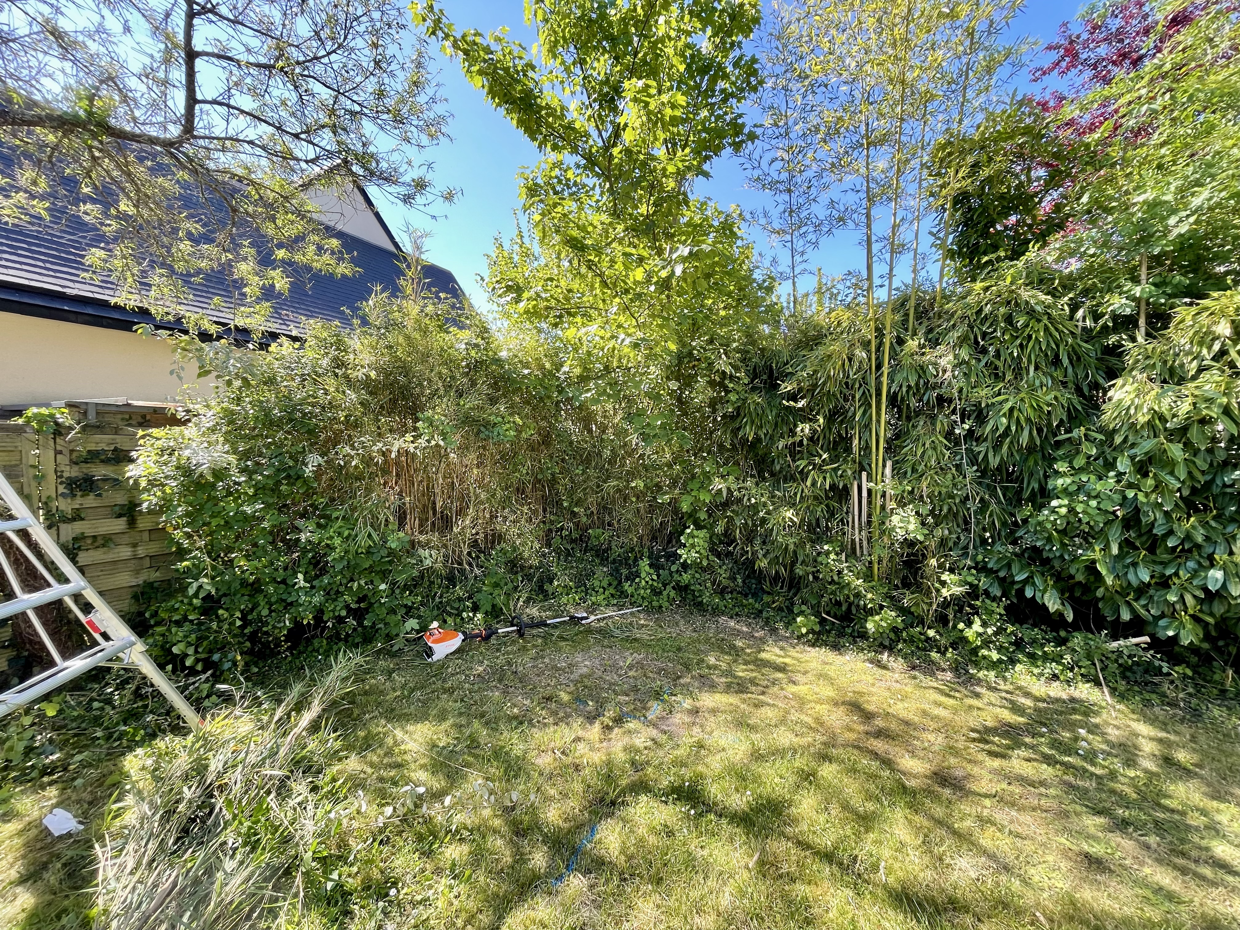 before-image
