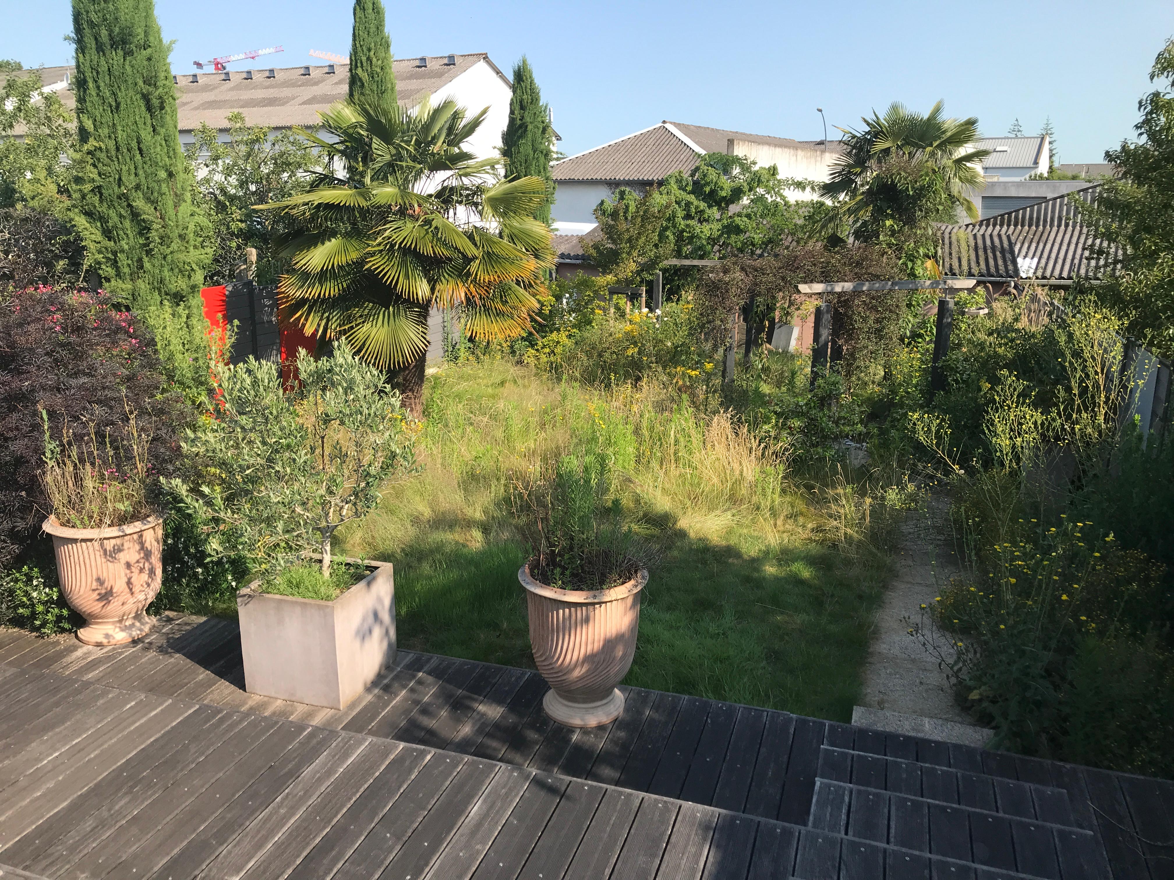 before-image