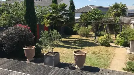 tailleur de haies Pacé-1
