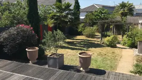 tonte de pelouse Pacé-5